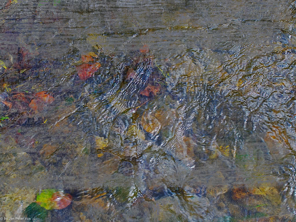 The Flow of Diversity, 411414-100