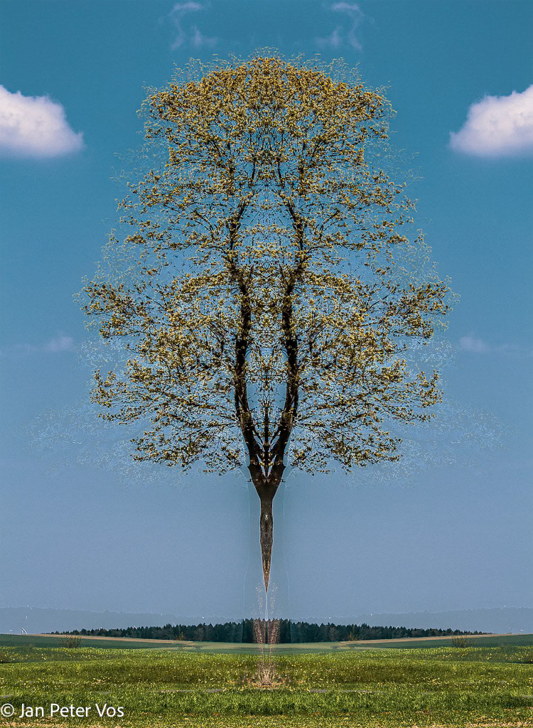 The Goddess of the Tree, 407121-111