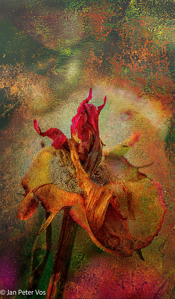 The  Call of the Prophet, 407040-101