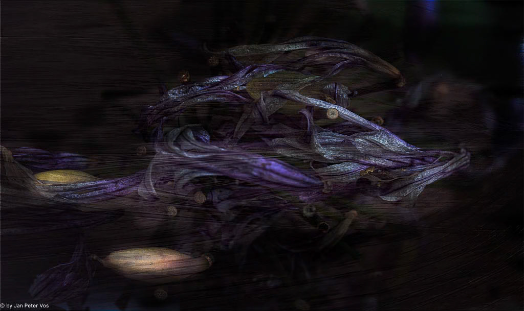 Creature, 400624-104