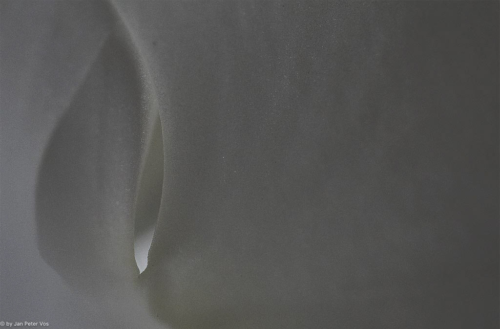 The Sound of Silence, 405125-105