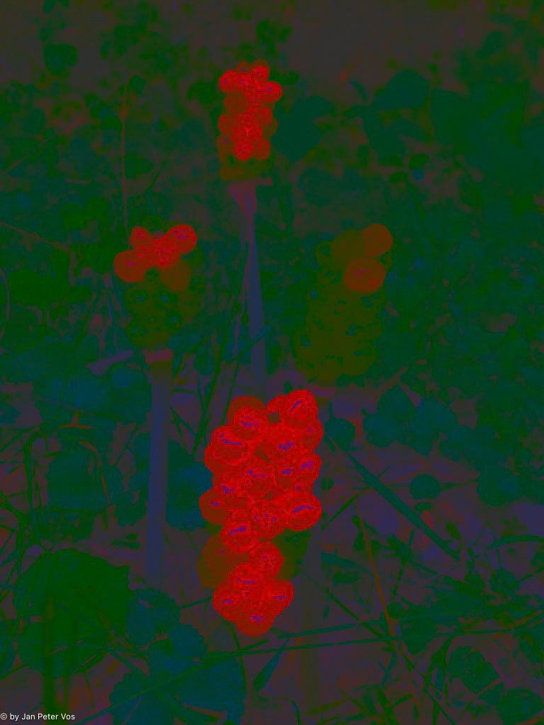 The 4 of Us, 411534-100