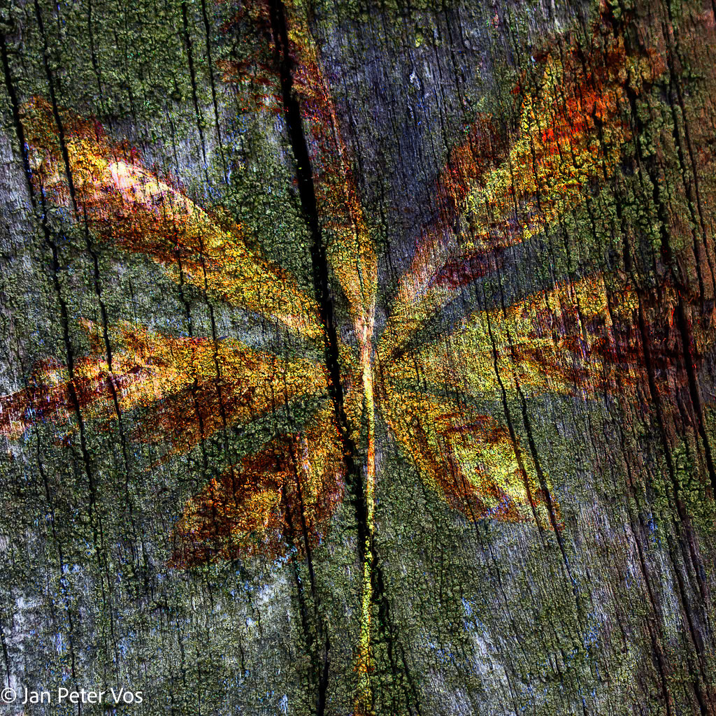 Poetry of Autumn, 400485-100