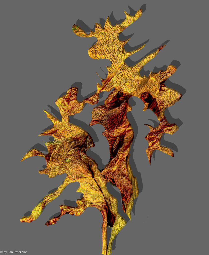 Mother &amp; Daugther Dragon, 408349-207
