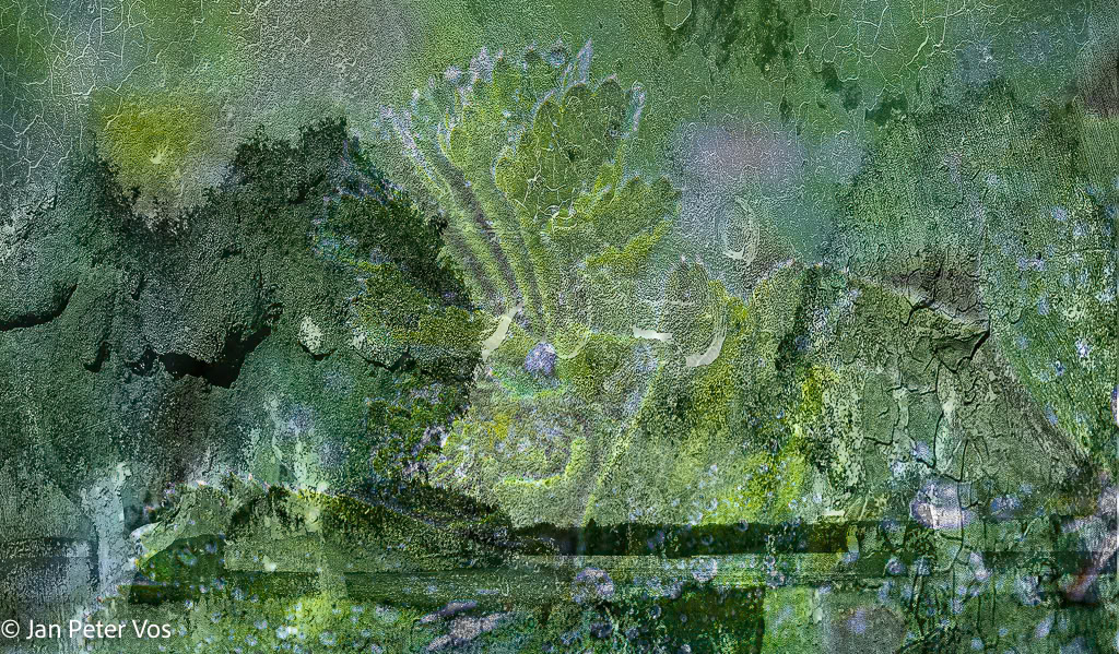 Musing on the Lakeside, 405068-106