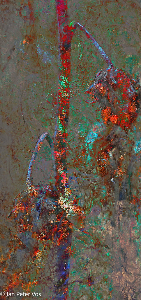 Fading Away, 401057-107