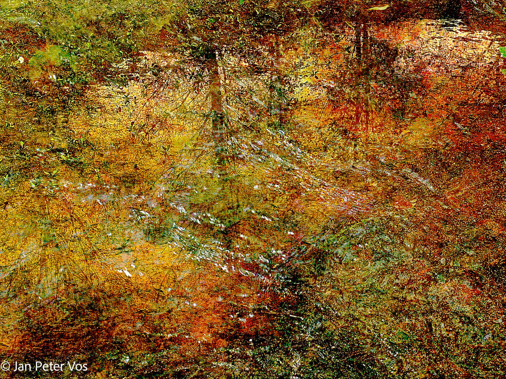 Reflections of a Puddle, 411413-208