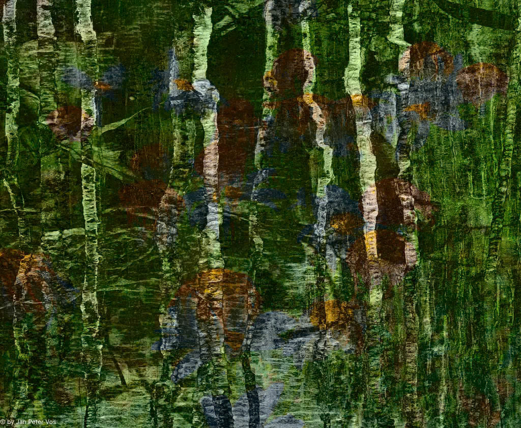 Dreaming on the Pond Site, 411423-104