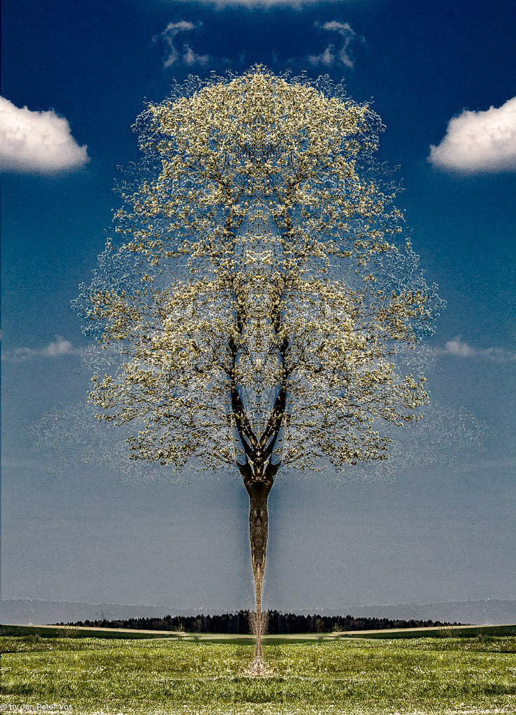 Goddess of the Tree, 407121-106