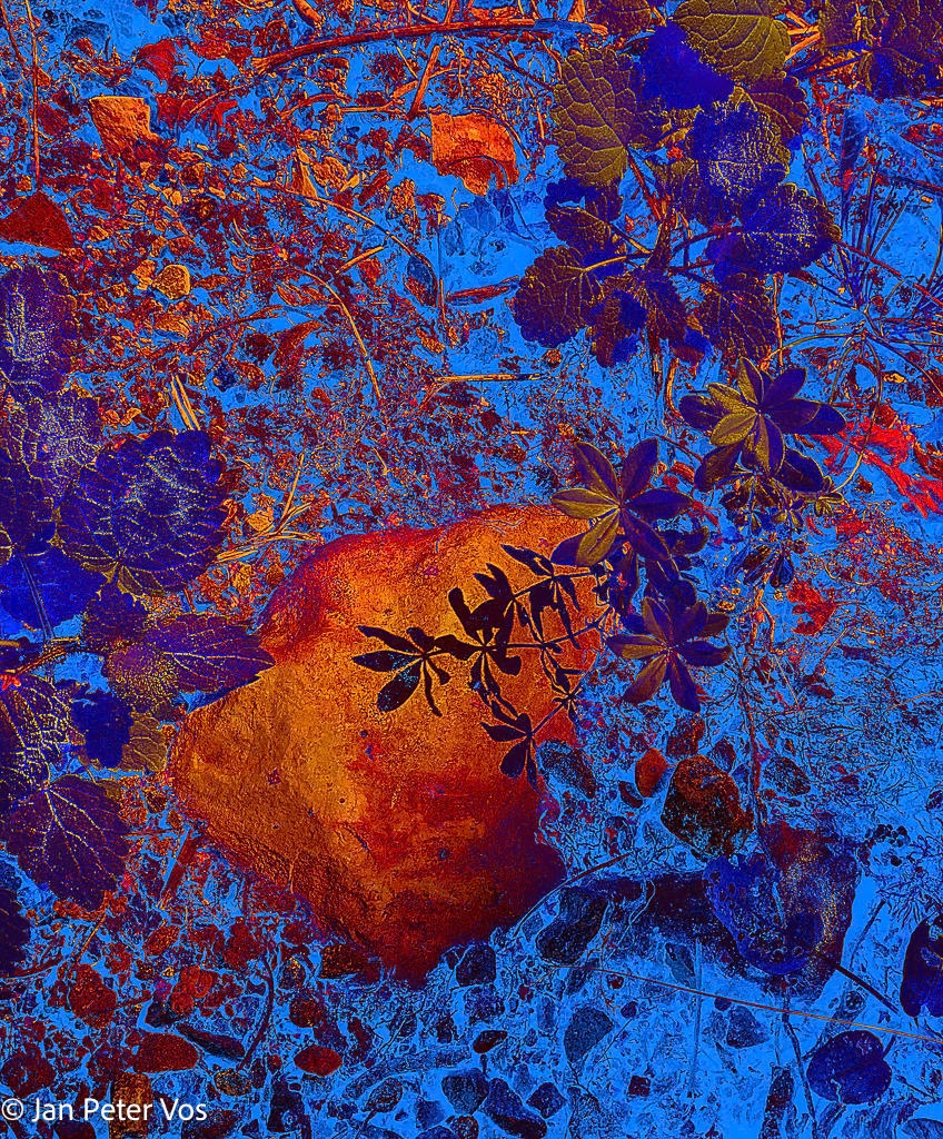 A Shadow of Myself, 411668-102