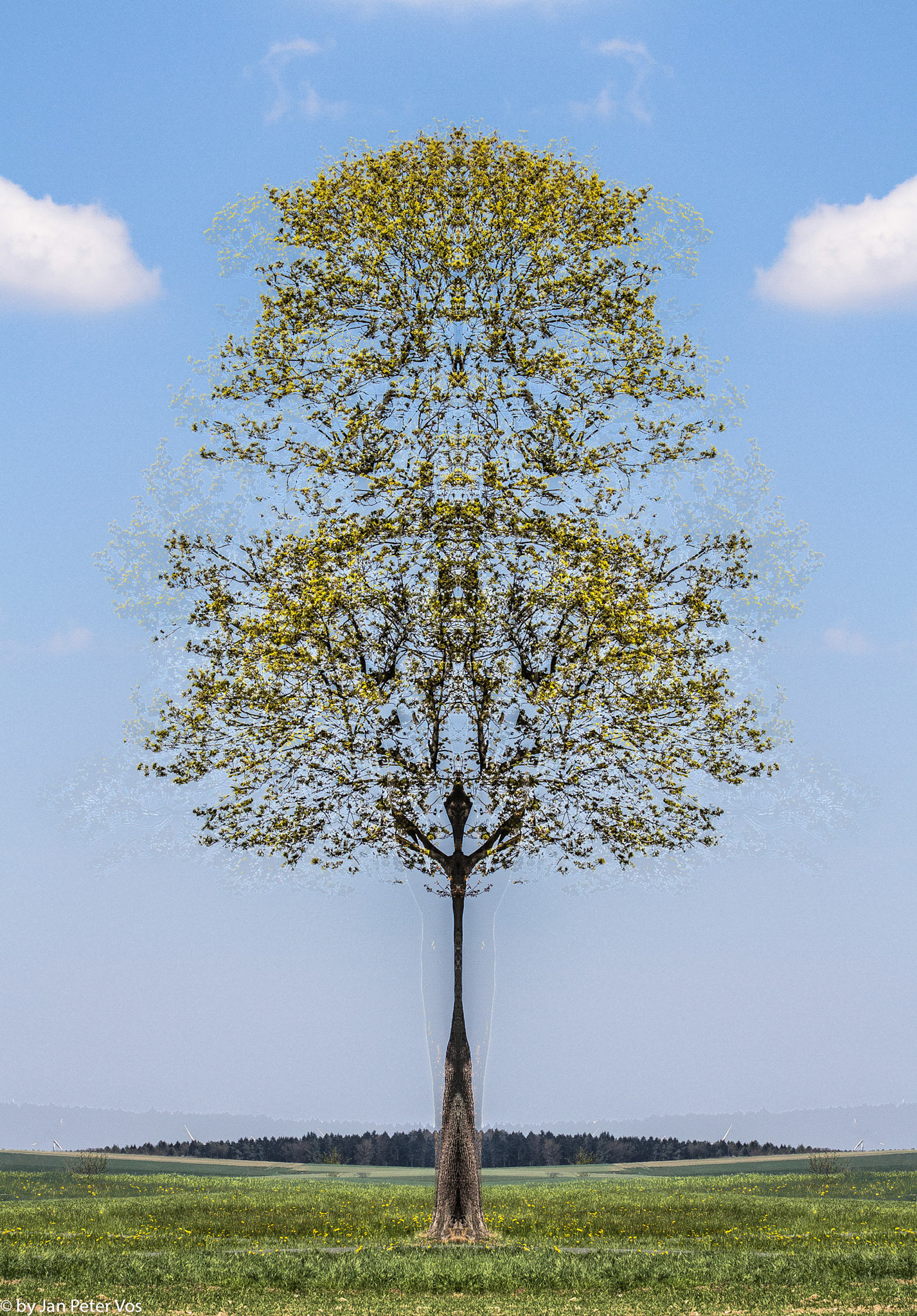 The Goddess of the Tree, 407120-7
