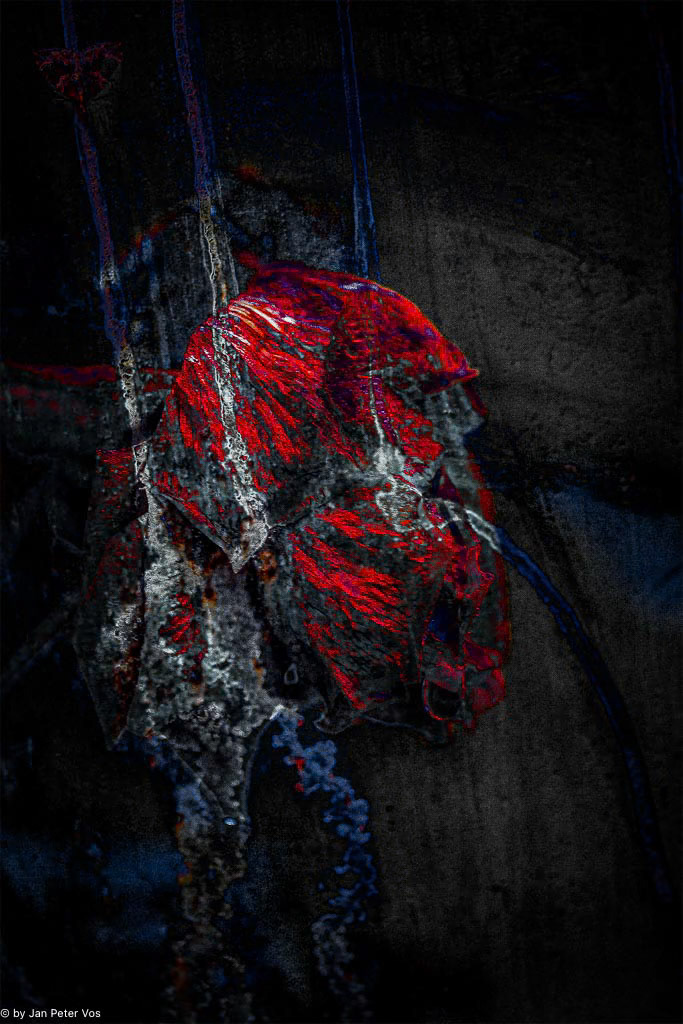 Solitude, 405988-110