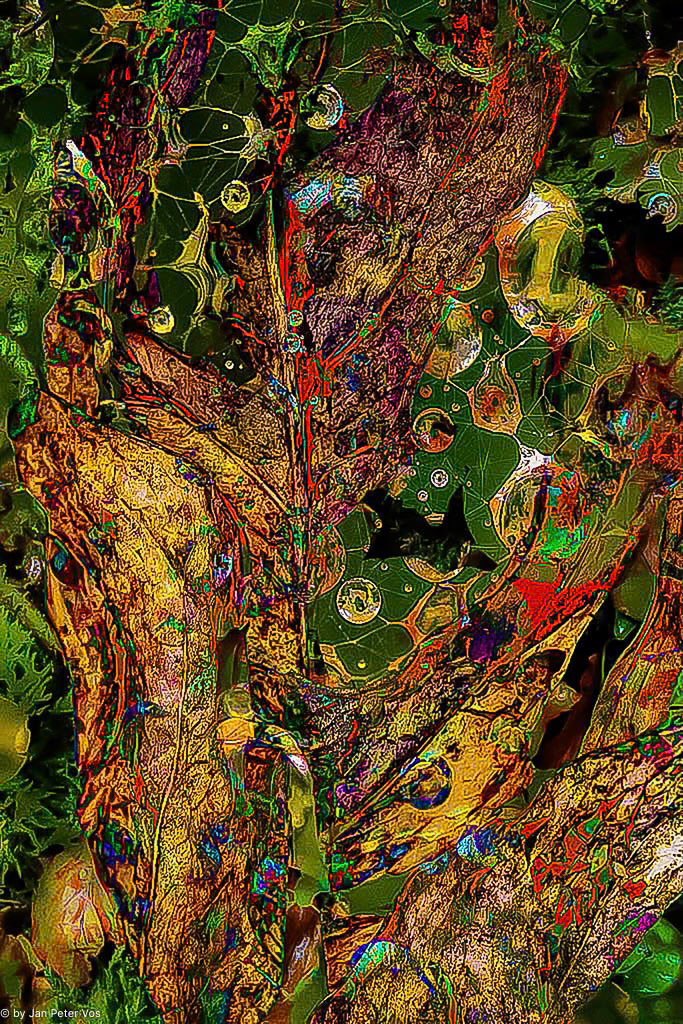 The Fascination of a Perspective, 400042-103