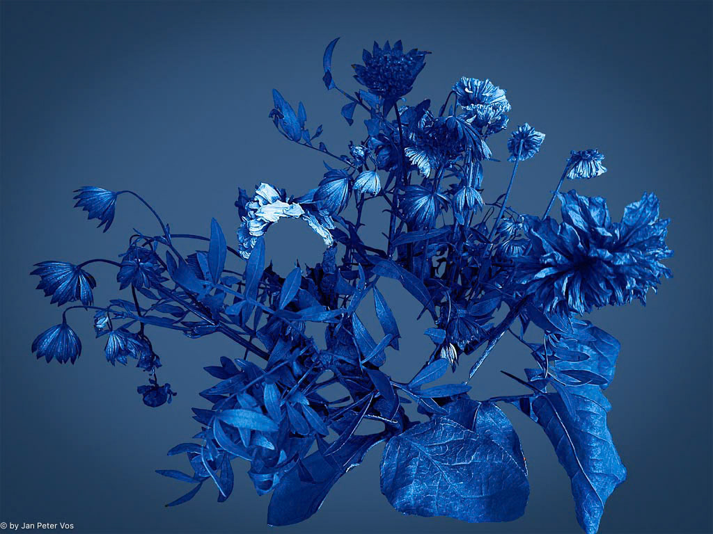 My Bouquet for You, 411204-111