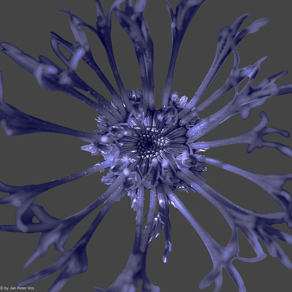 Life as a Jewel, 402028-102