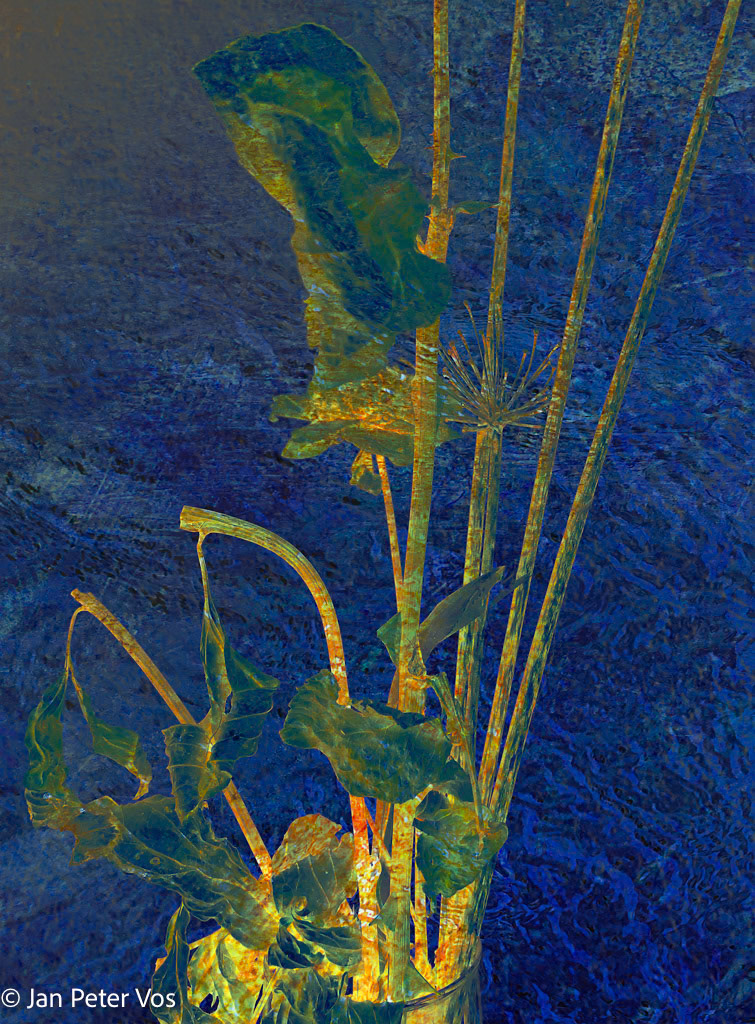 The Beauty of Transition, 411081-106