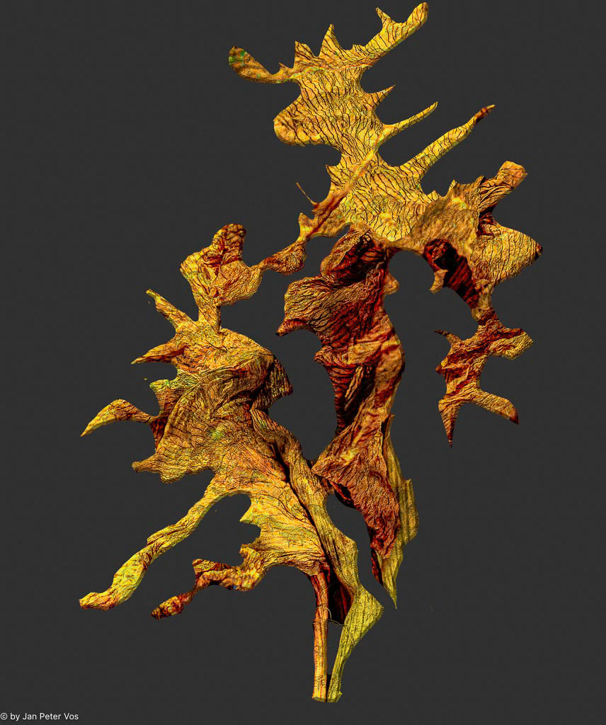 Mother &amp; Daugther, 408349-202