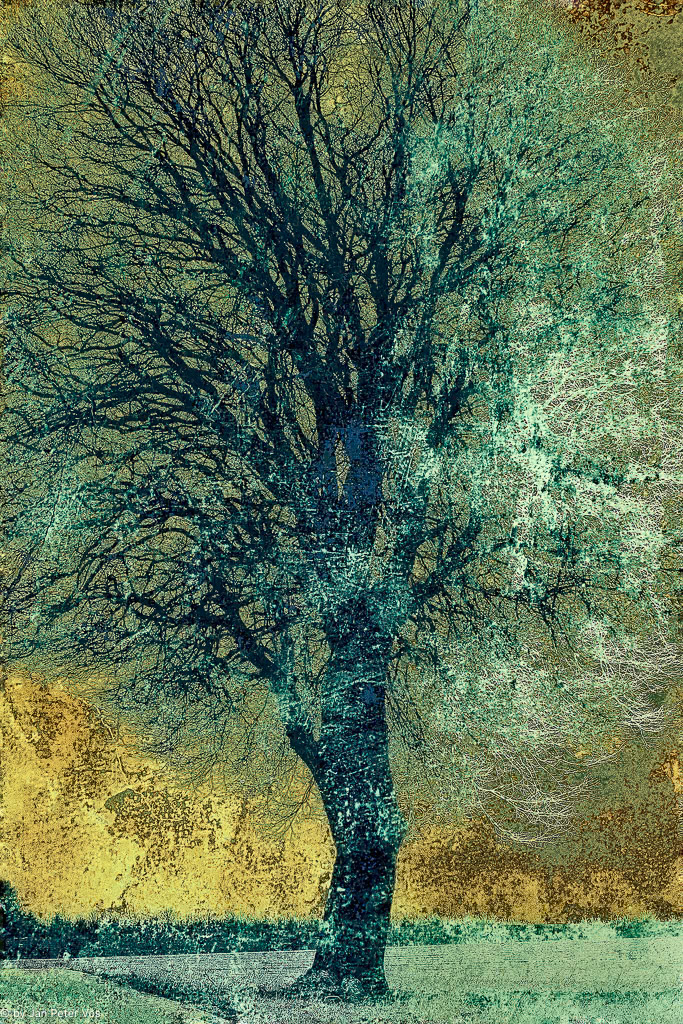 Majestic Calm: 120x80cm