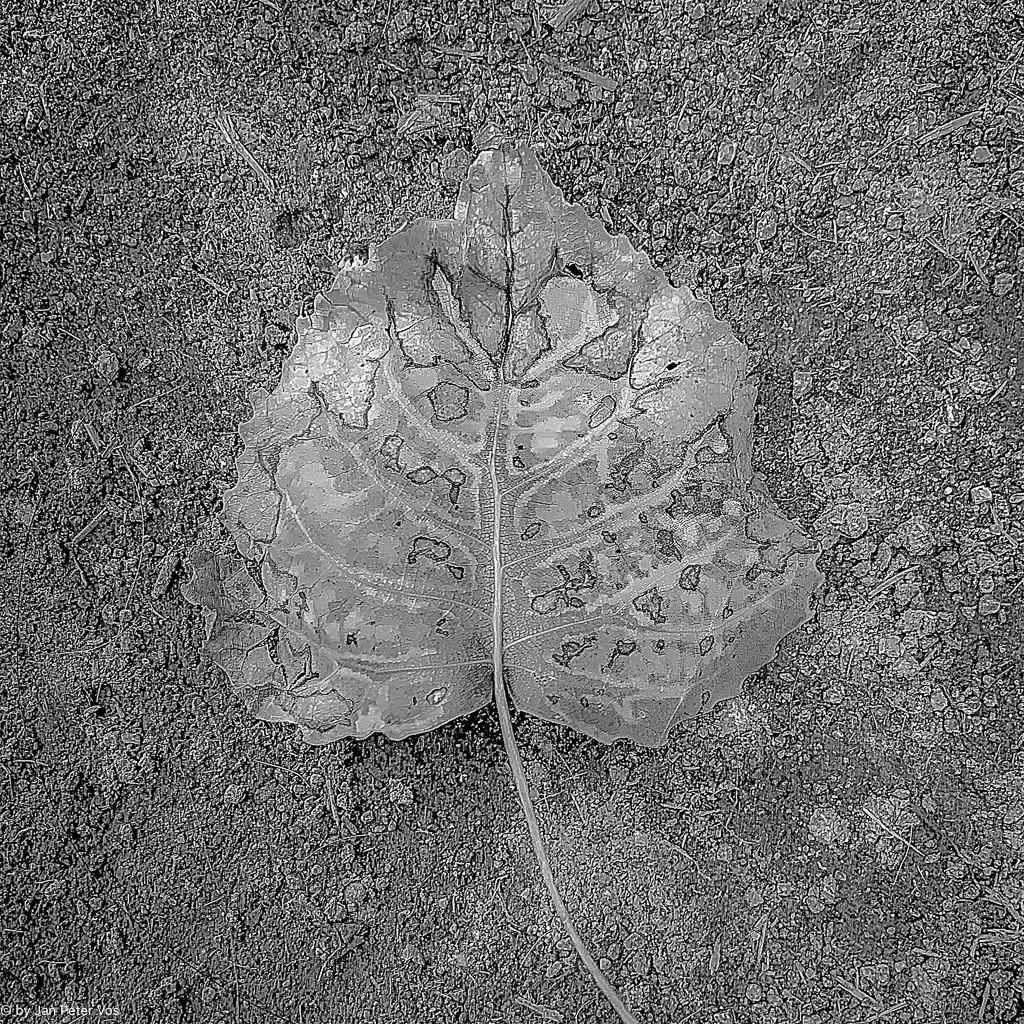 The Subtlety of Transition, 411538-104