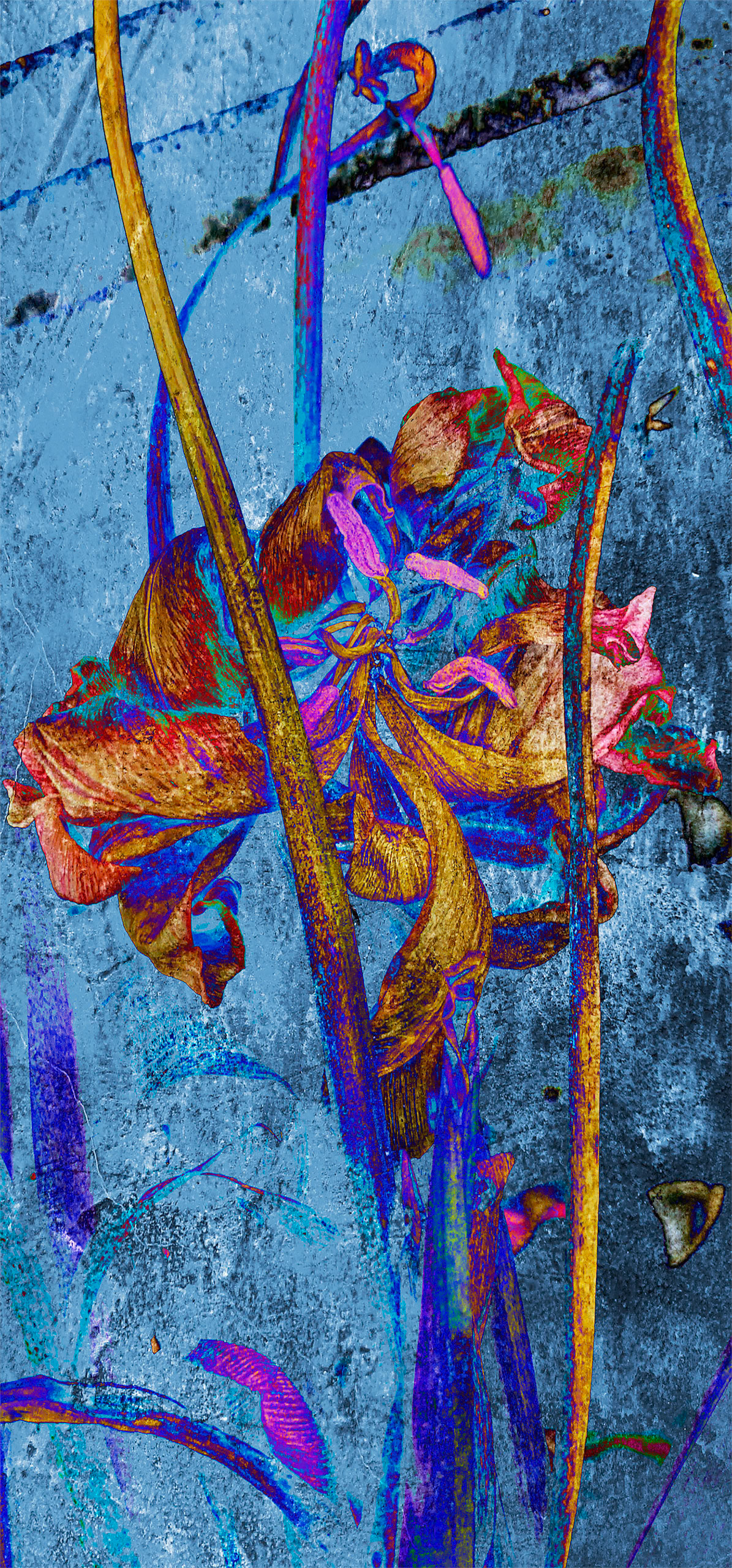 Another View on Beauty, 411526-209