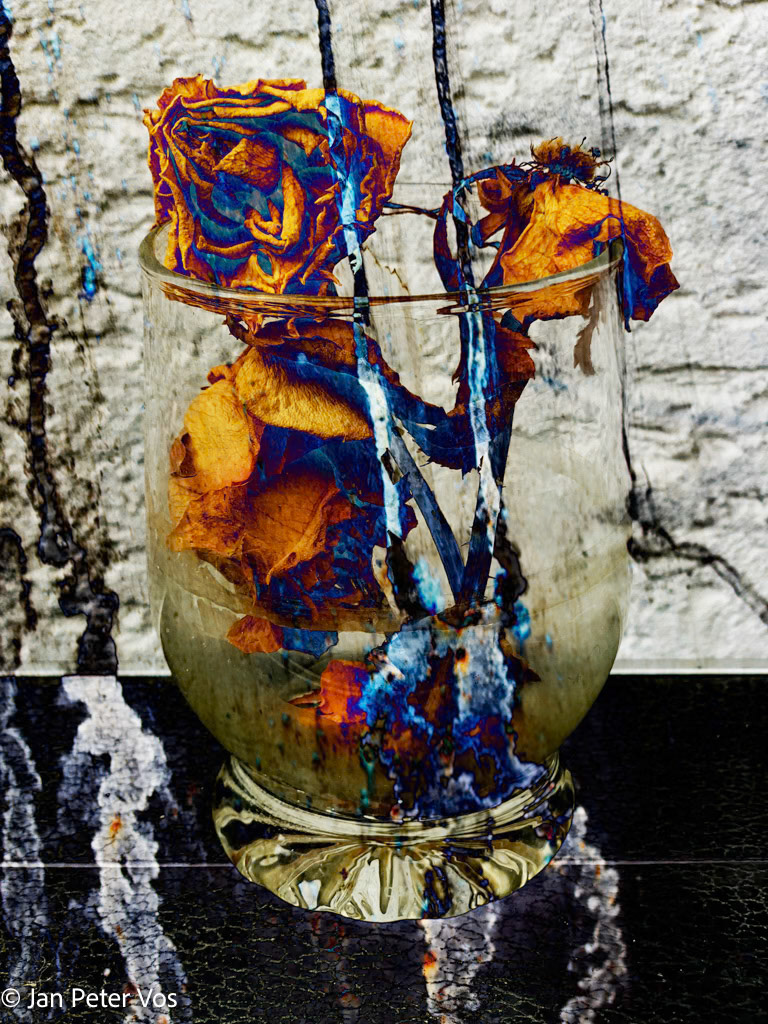Rose in a Glass, 411428-110
