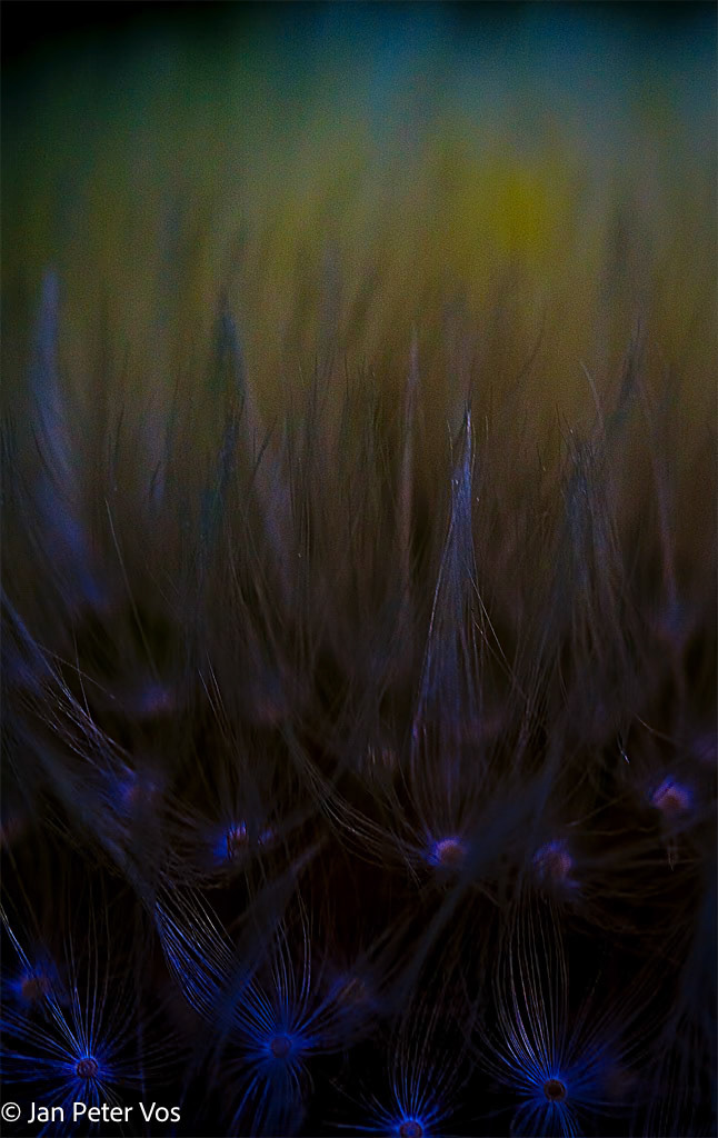 Ephemeral with a blue Touch, 407018-102