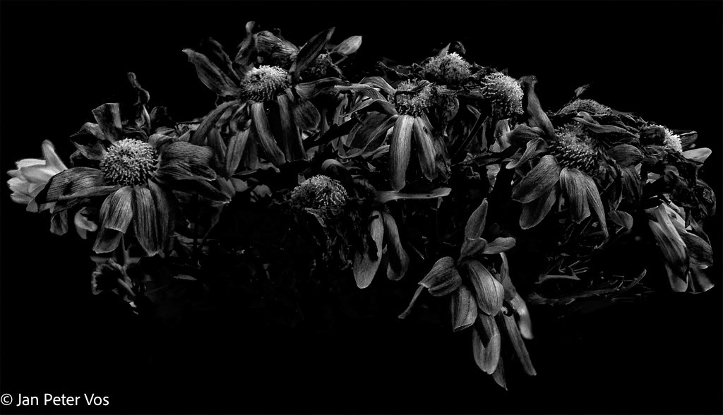 We have been Martha´s Bouquet, 402066-104