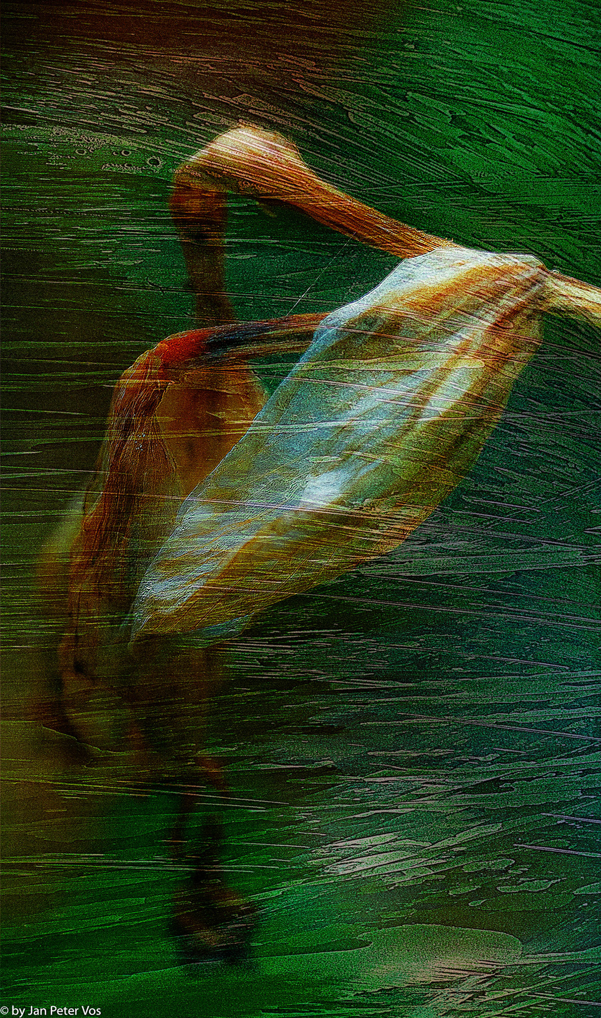 The Autumn Dancer, 407821-2