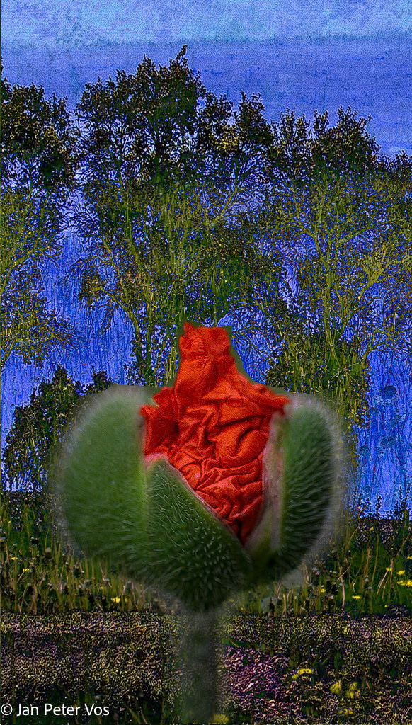 The Tale of Spring, 405610-106