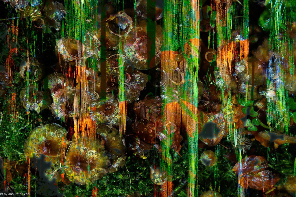 Disappearing Boundaries, 410041-100