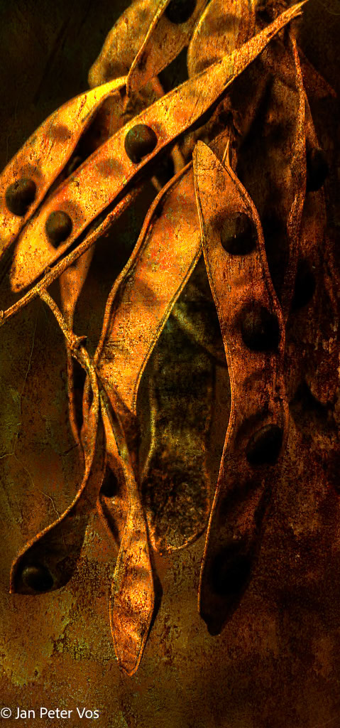 Seeds of Rebirth, 406144-100