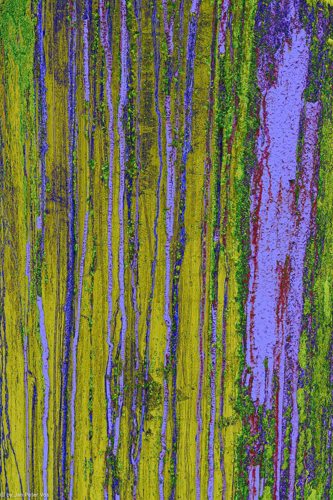Magic Lines, 410258-101