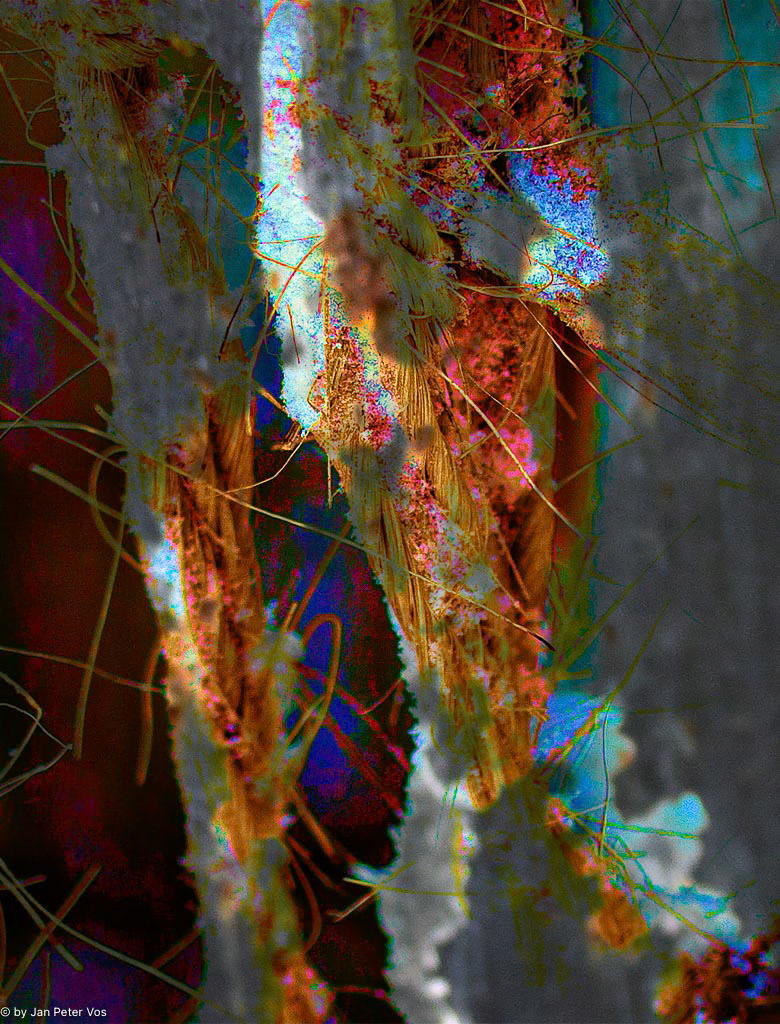 Magic Lines, 410535-200-100