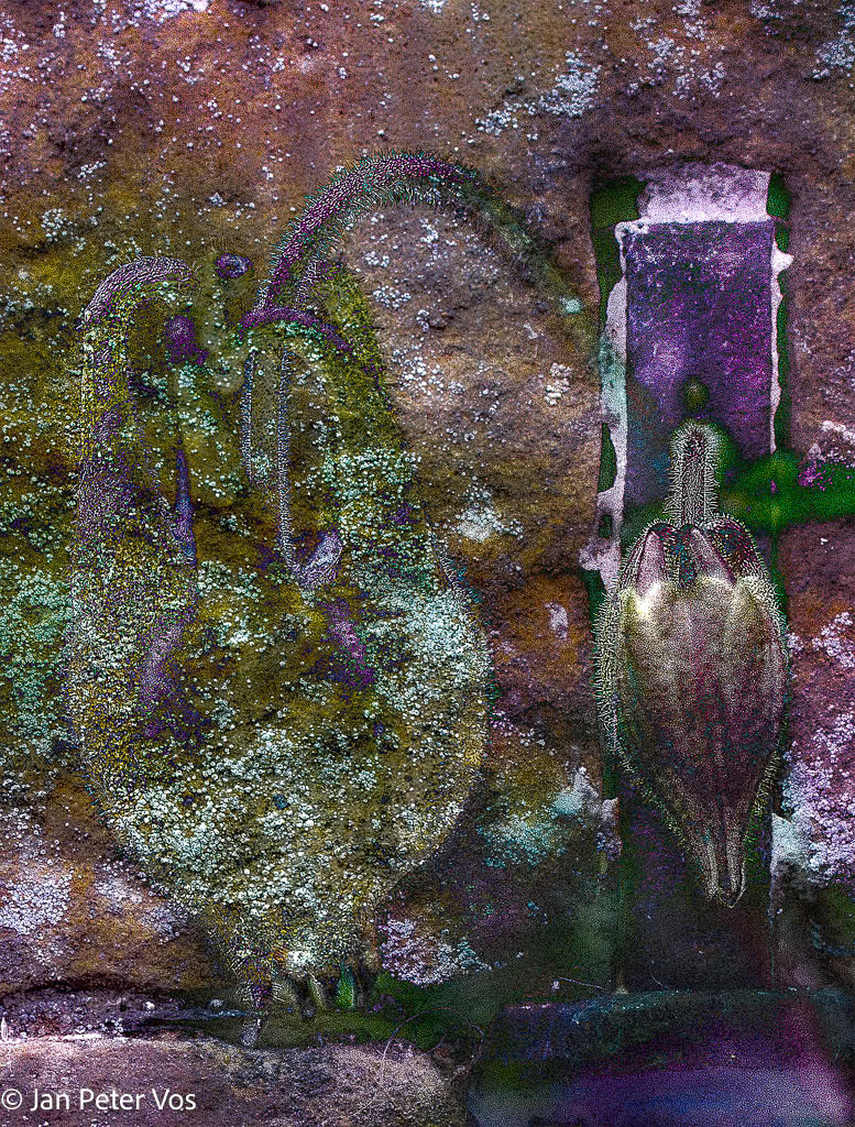 Thinking of myself growing older, 404976.psd