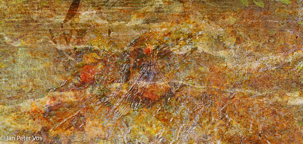 Emerging, 411414-302