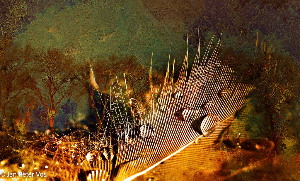 Beauty of Grief, 402917-100