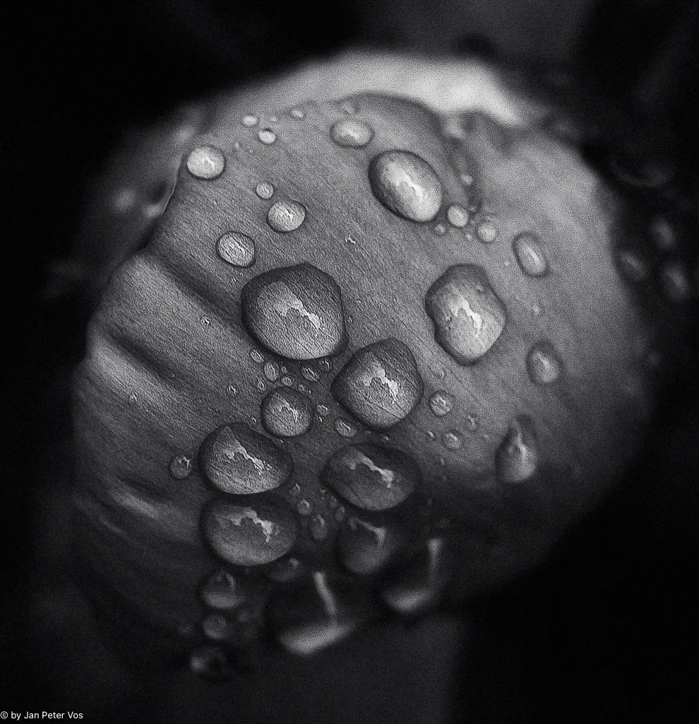Conversation, 405152-102
