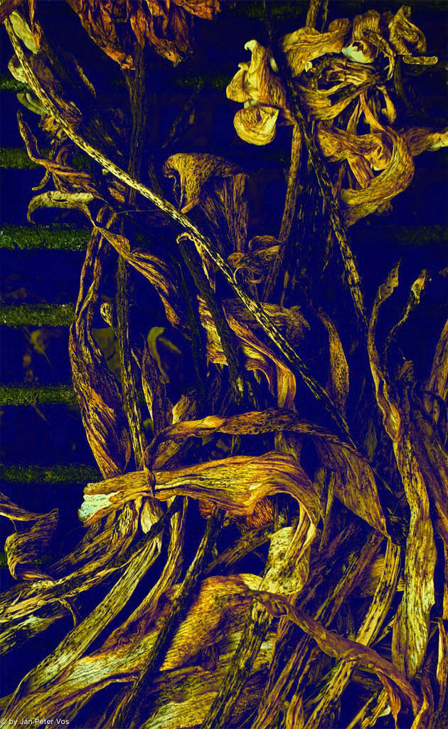 The Garlands of Thoughts,