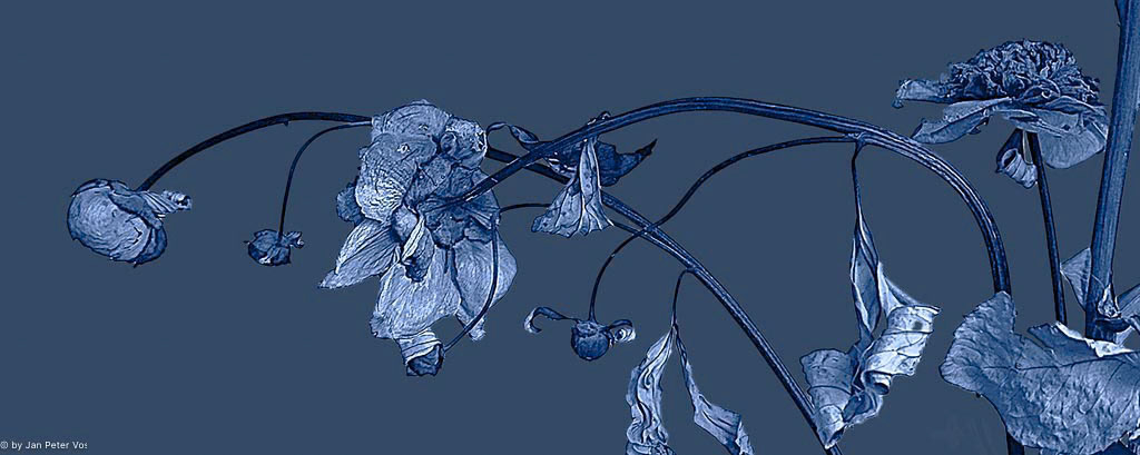 Respect in Blue, 411079-206