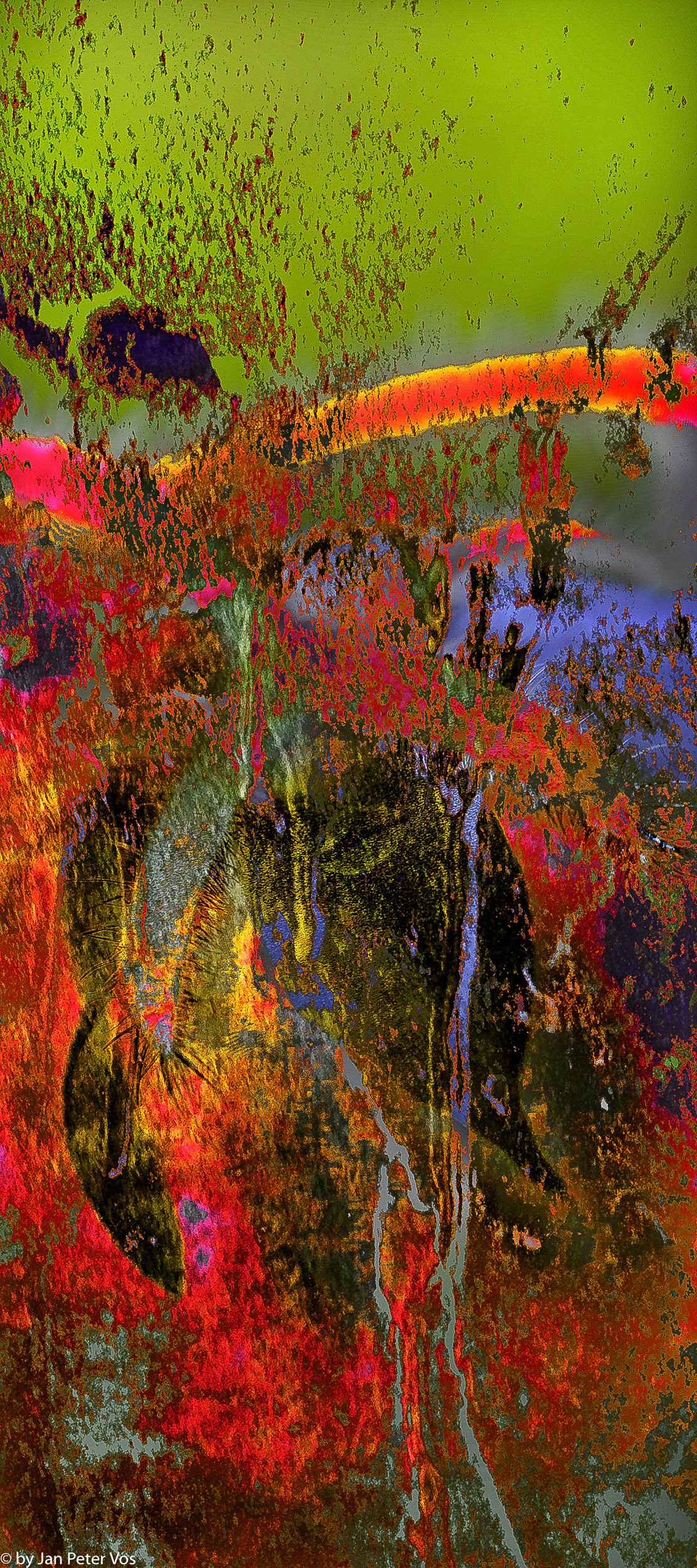 A different Reality, 401533-2-2