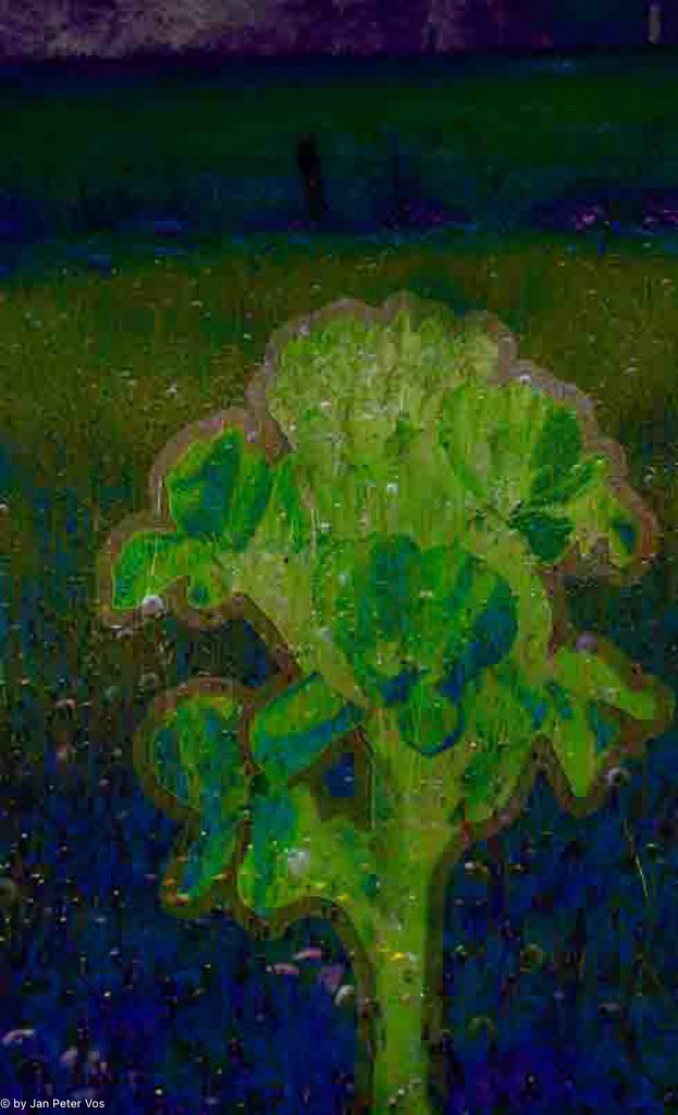 The Tale of Bergenia: 100x60cm