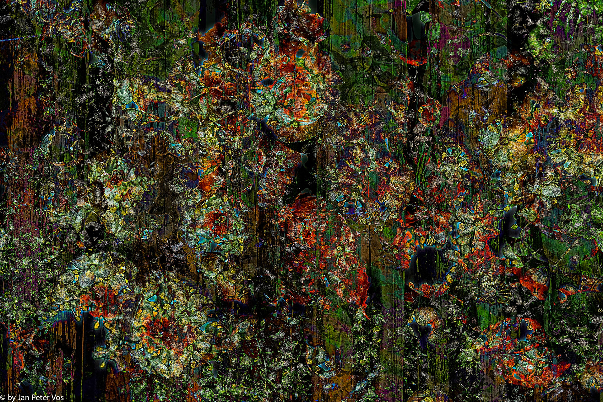 Flower Power breaking the Boundaries, 410041-202