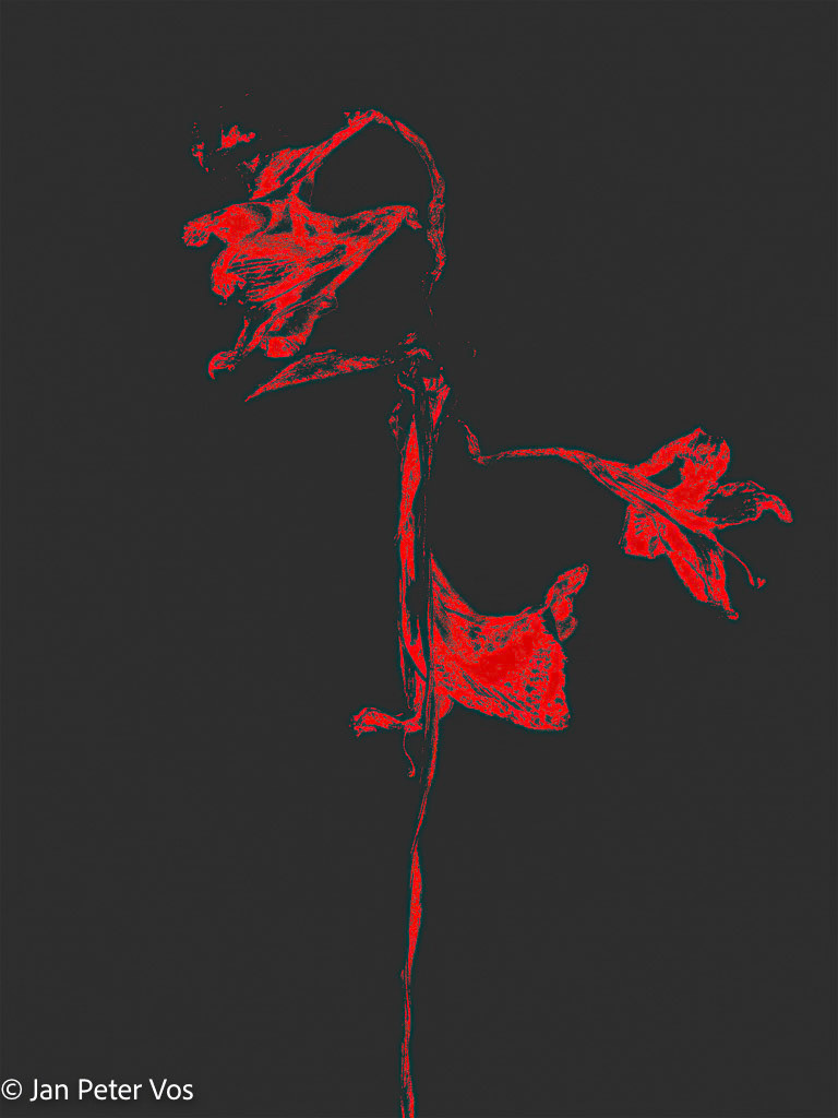 Elegance, 410958-203