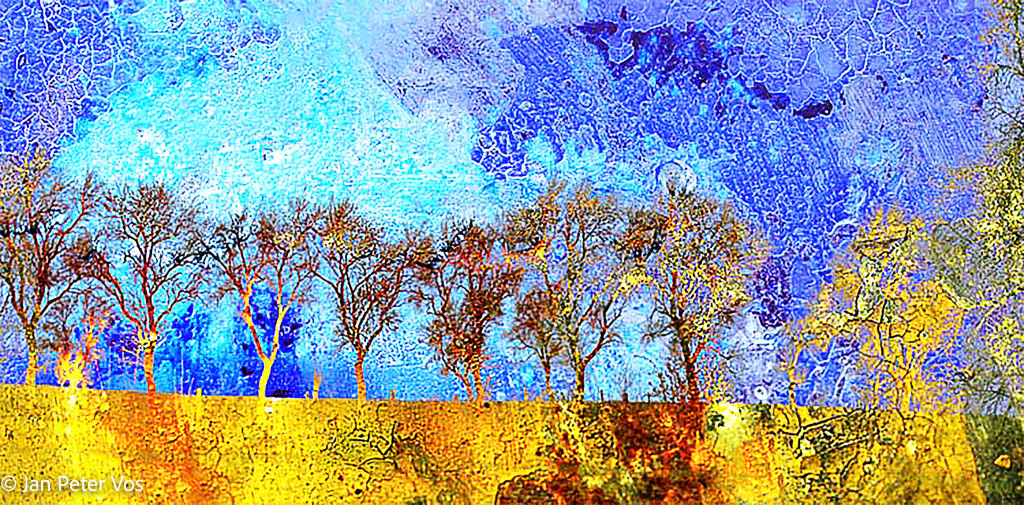 Blues of the Sky, 404759