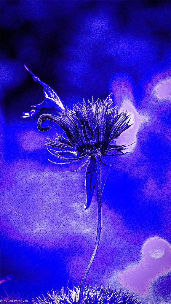 Dancing in a blueish World, 404845-102