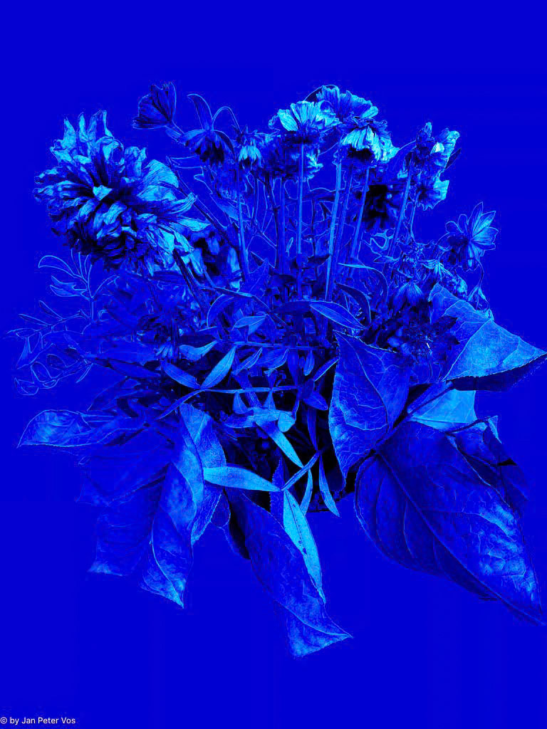 My Bouquet for You, 411201-203