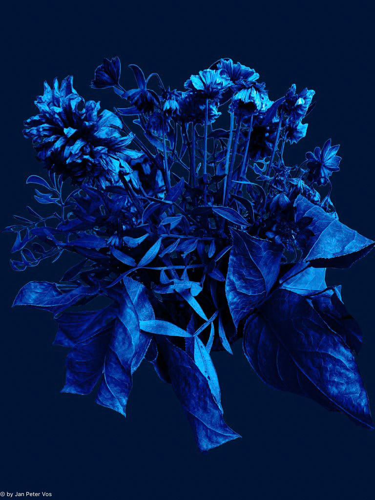 Expression in Blue 411204-303