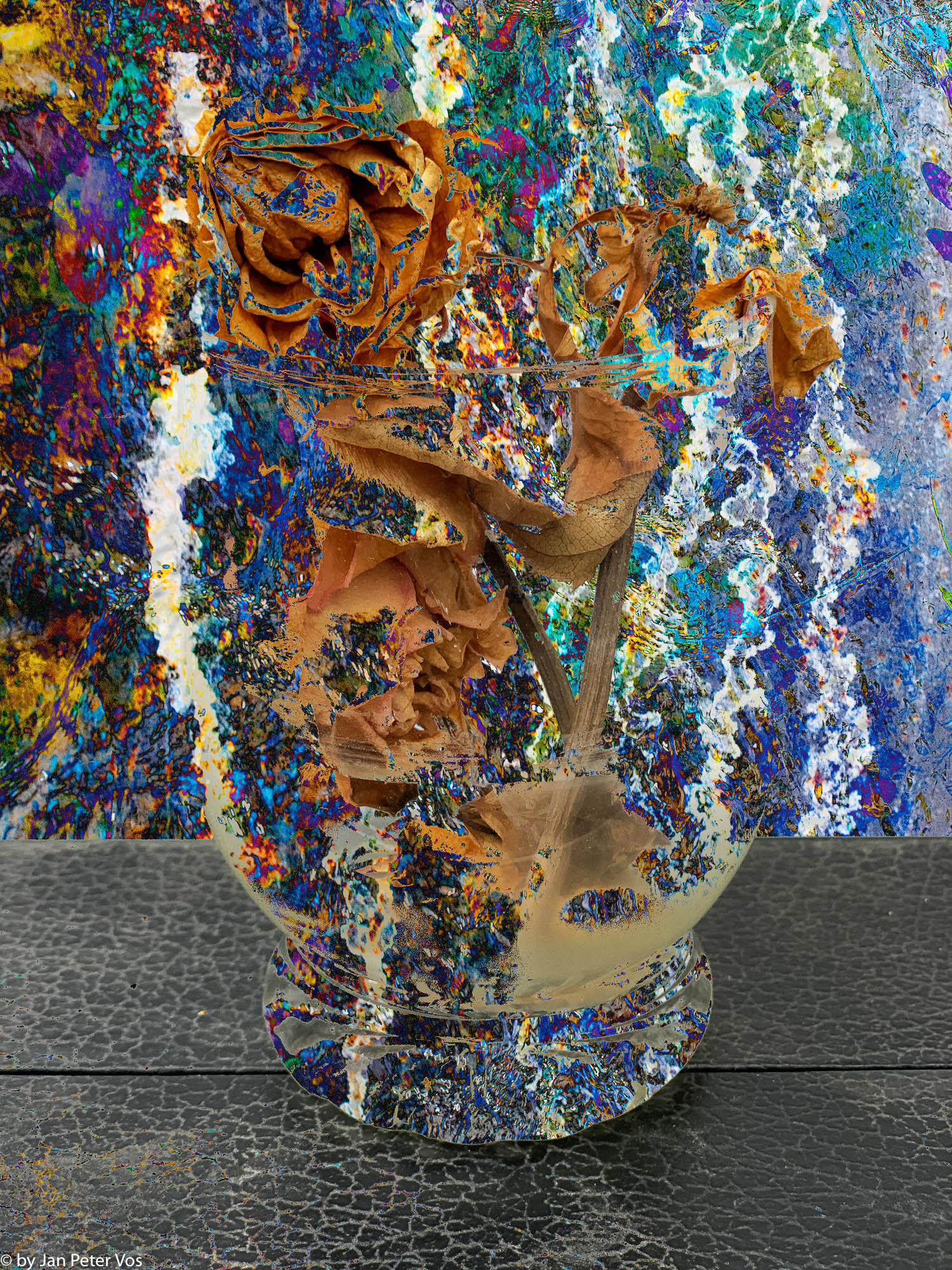 Rose in a Glass, 411428-111