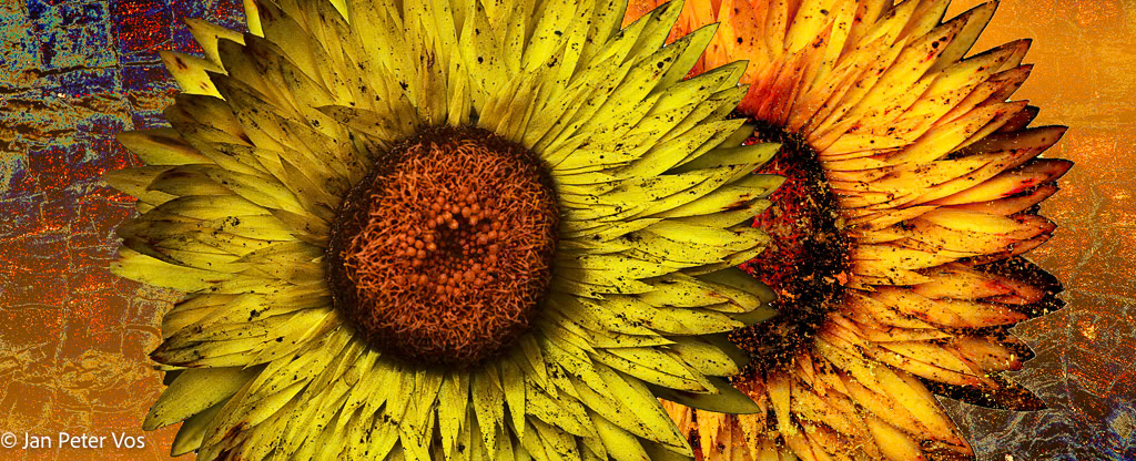 GetToGether, 404255-102