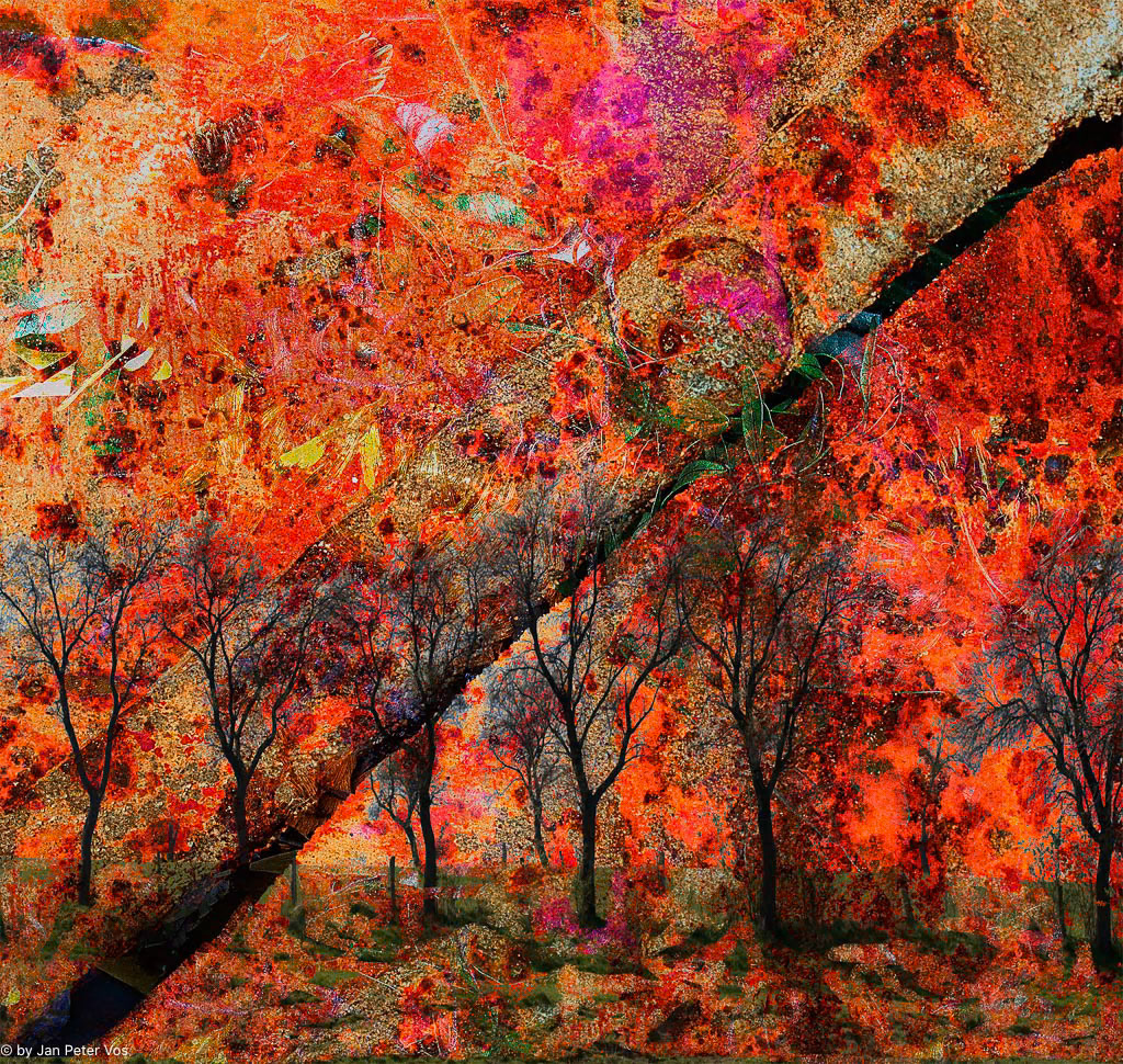 A strange Landscape, 410226-100